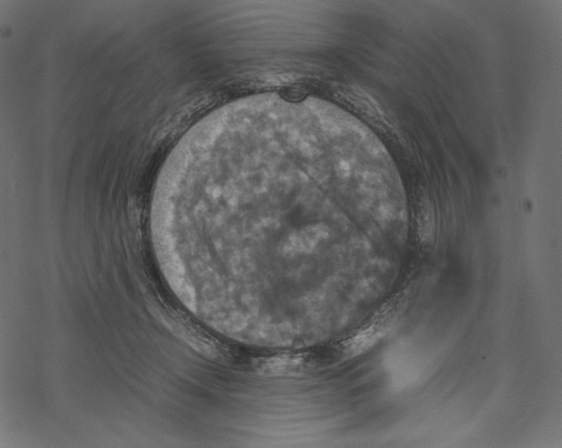 X0000067890366200605041558