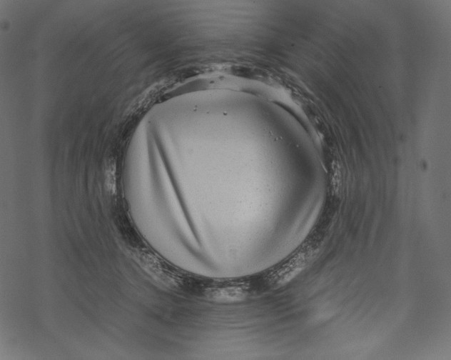 X0000067890368200605041558