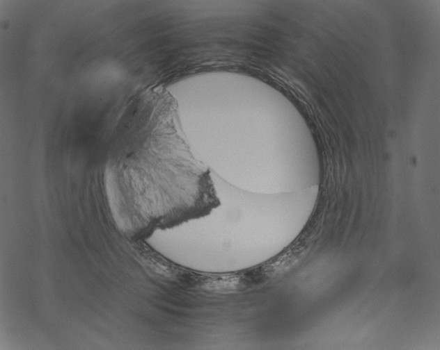 X0000067890369200605041558