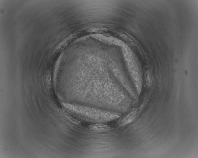 X0000067890372200605041558