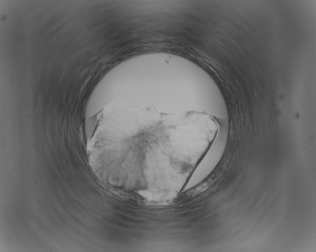 X0000067890373200605041558