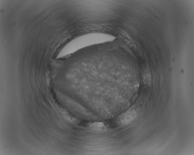 X0000067890374200605041558