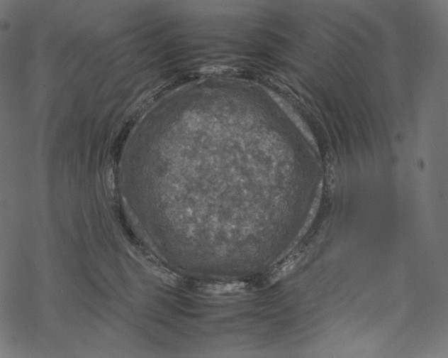 X0000067890375200605041558