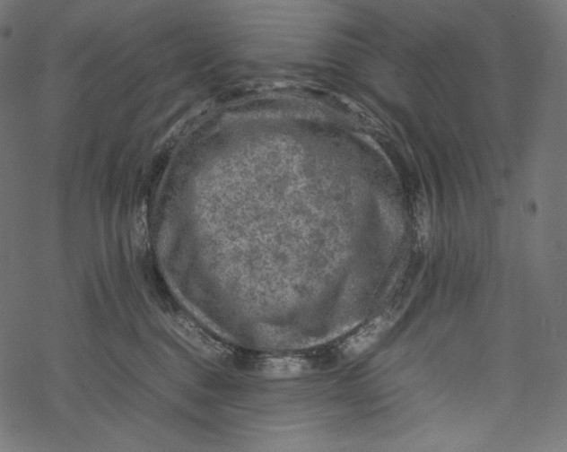 X0000067890376200605041558