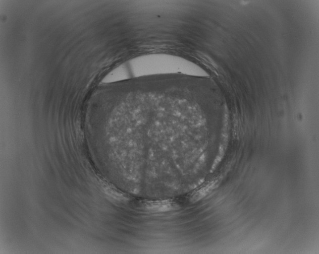 X0000067890377200605041558