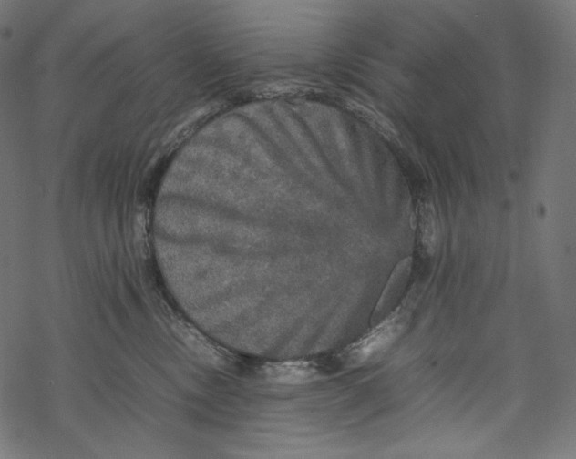 X0000067890378200605041558