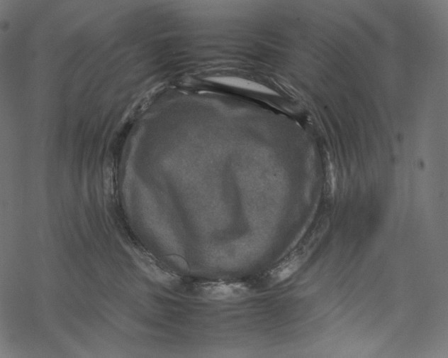 X0000067890379200605041558