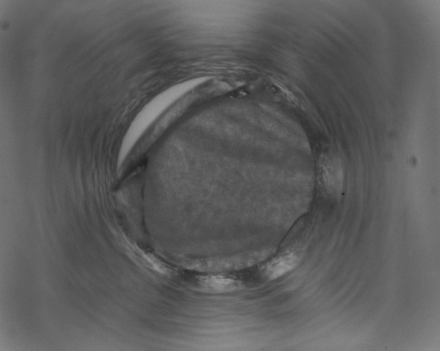 X0000067890380200605041558