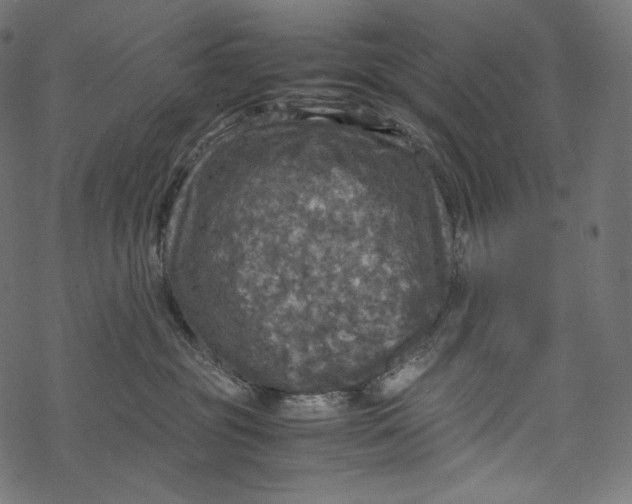 X0000067890381200605041558