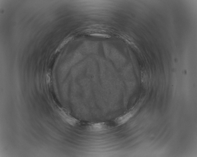 X0000067890382200605041558