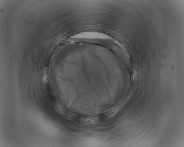 X0000067890383200605041558