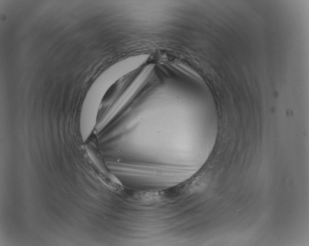 X0000067890384200605041558