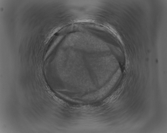 X0000067890385200605041558