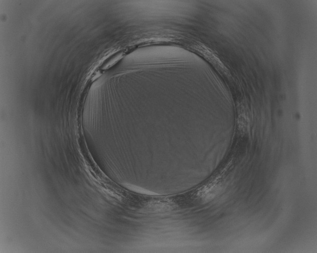 X0000067890386200605041558