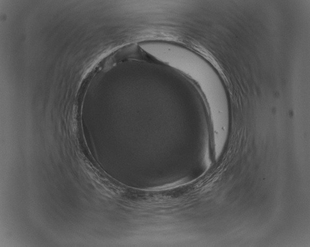 X0000067890387200605041558