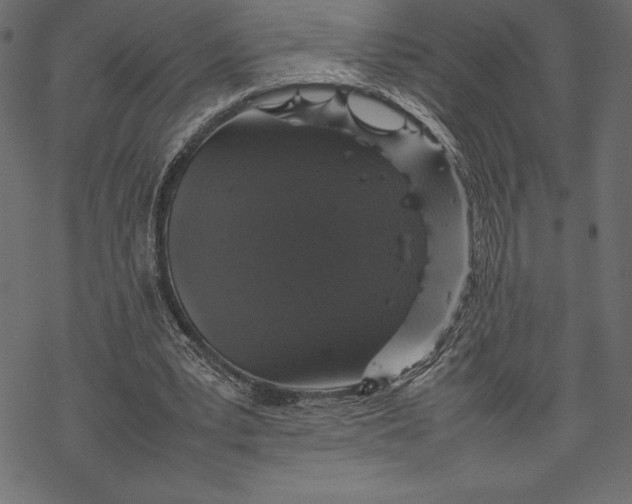 X0000067890391200605041558