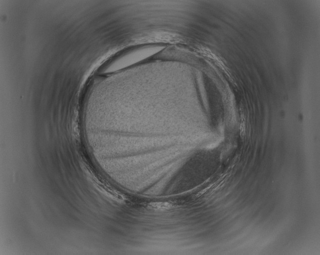 X0000067890392200605041558