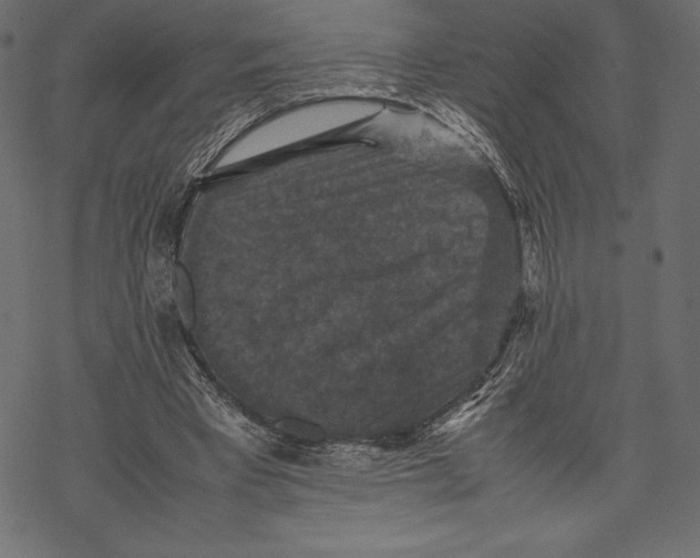 X0000067890393200605041558