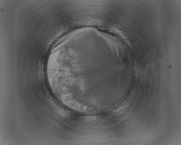 X0000067890394200605041558