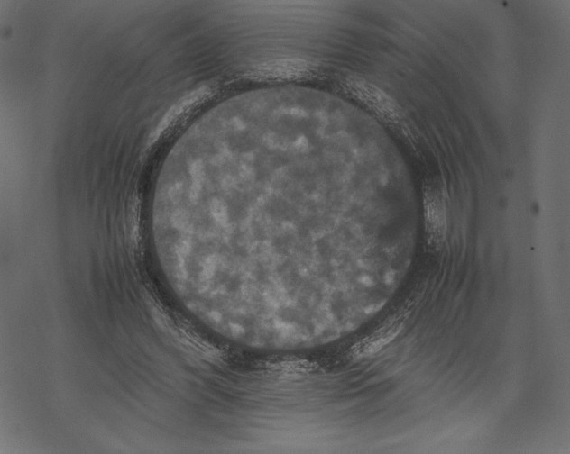 X0000067890396200605041557