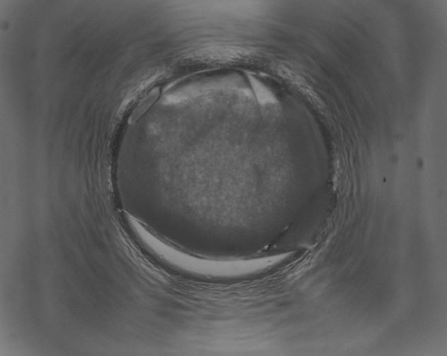 X0000067890399200605041557