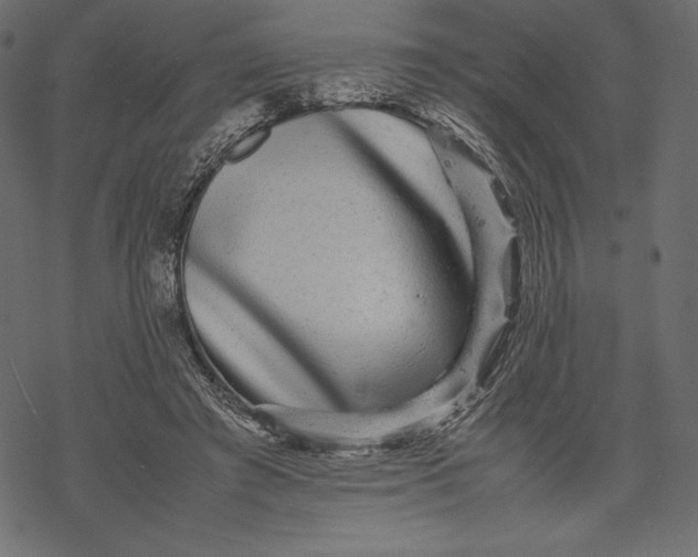 X0000067890401200605041557