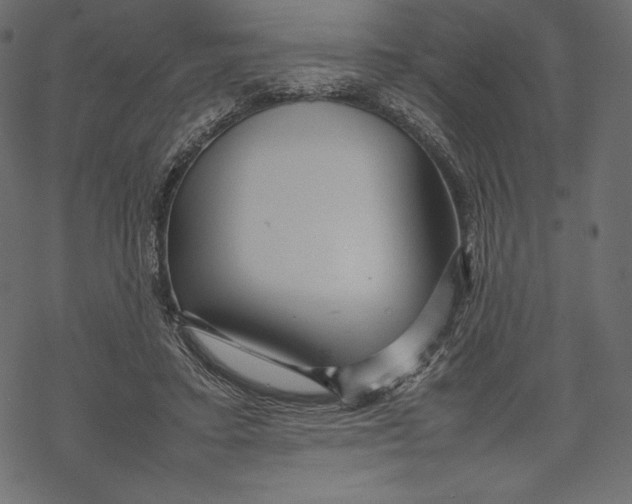 X0000067890403200605041557