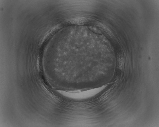 X0000067890404200605041557