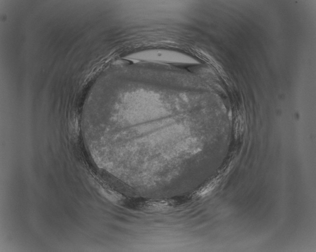 X0000067890405200605041557