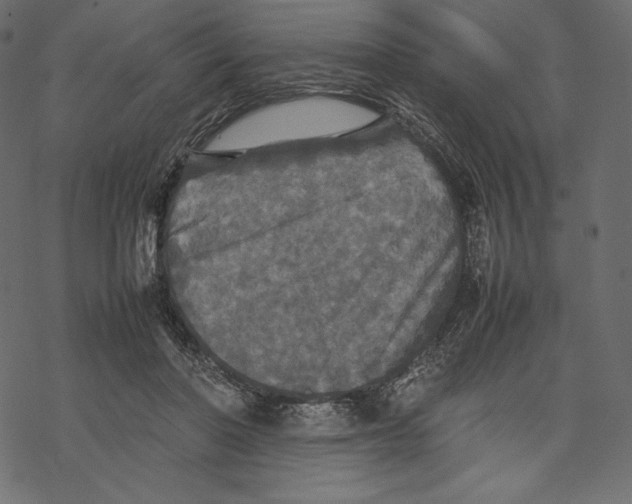 X0000067890406200605041557