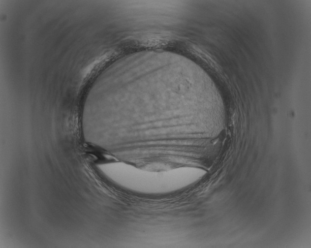 X0000067890407200605041557