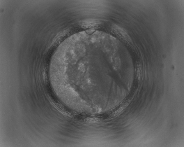 X0000067890408200605041557