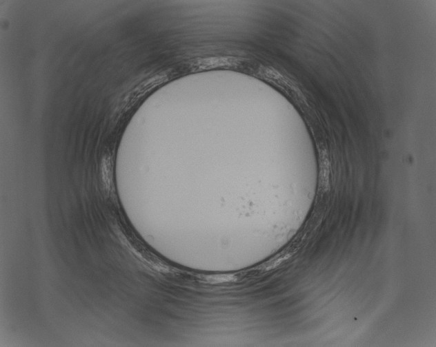 X0000067890410200605041557