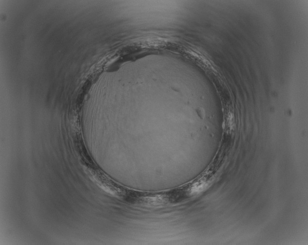 X0000067890411200605041557