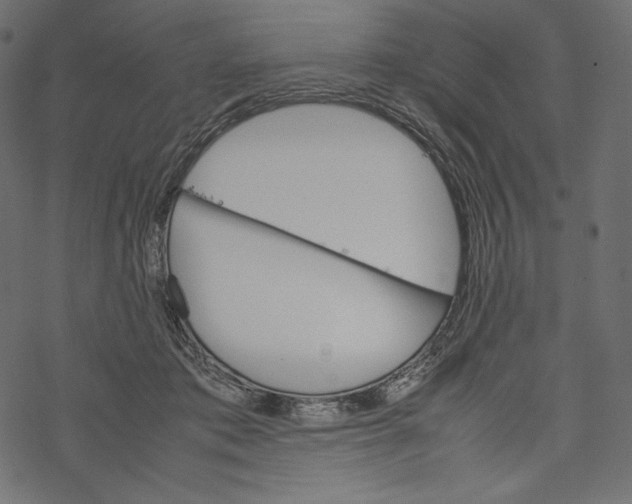 X0000067890413200605041557