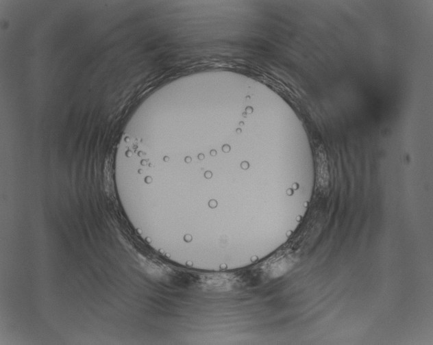 X0000067890414200605041557