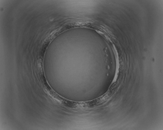 X0000067890415200605041557