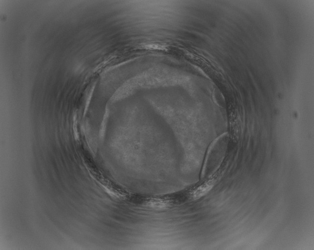 X0000067890416200605041557