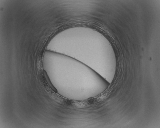 X0000067890417200605041557