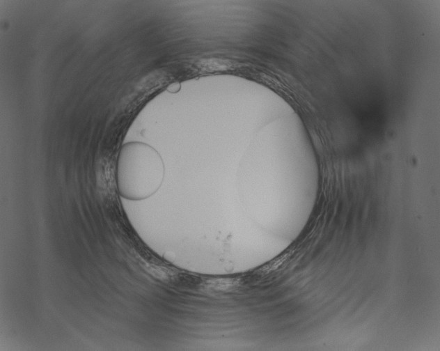 X0000067890418200605041557