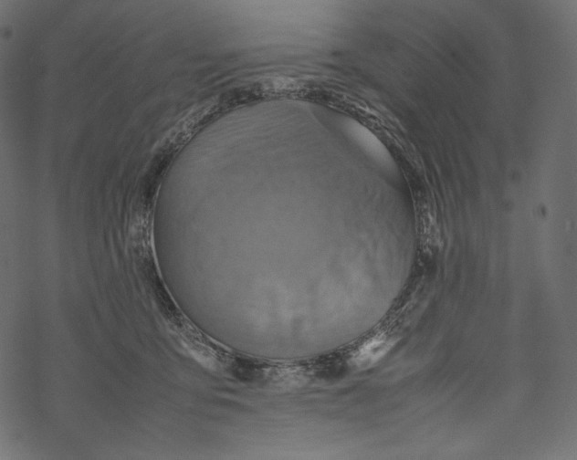 X0000067890419200605041557