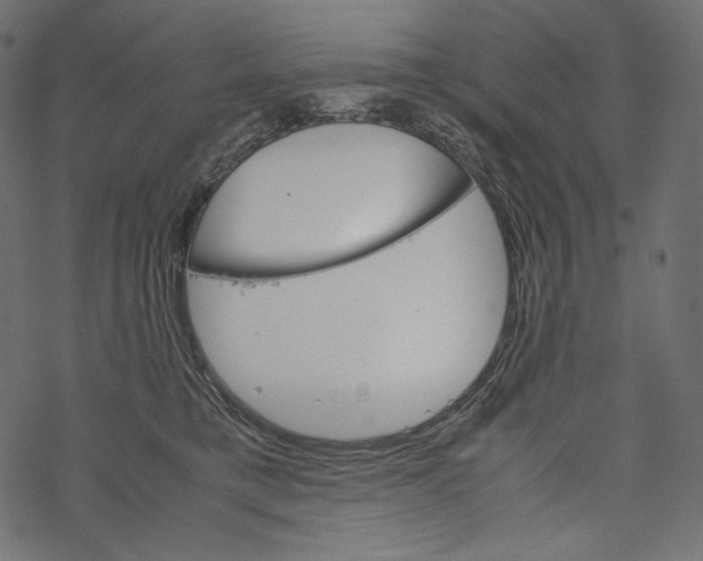 X0000067890421200605041557