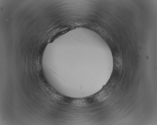 X0000067890422200605041557