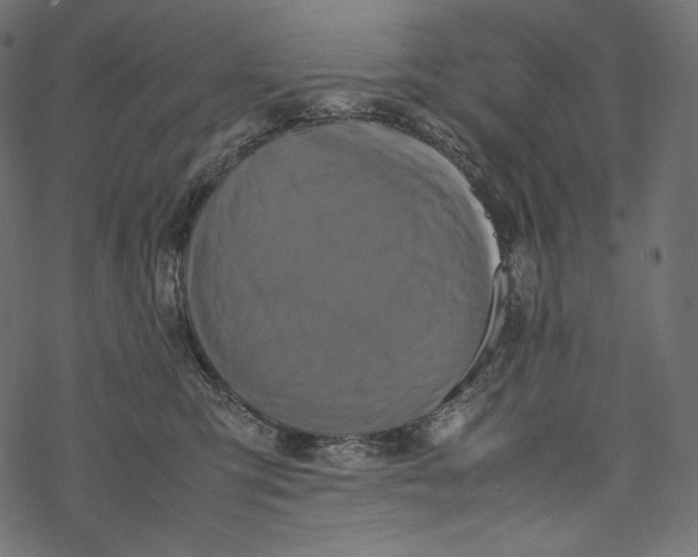 X0000067890423200605041557