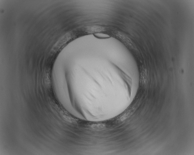 X0000067890426200605041557