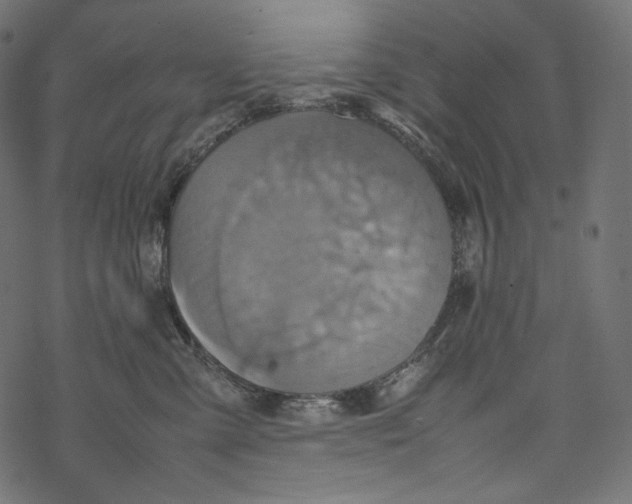 X0000067890427200605041557