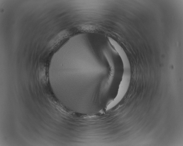 X0000067890428200605041557