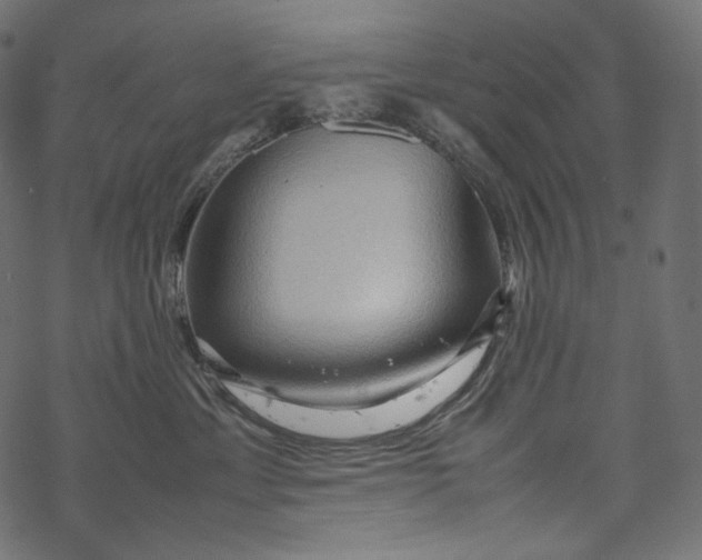 X0000067890429200605041557