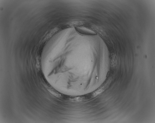 X0000067890430200605041557