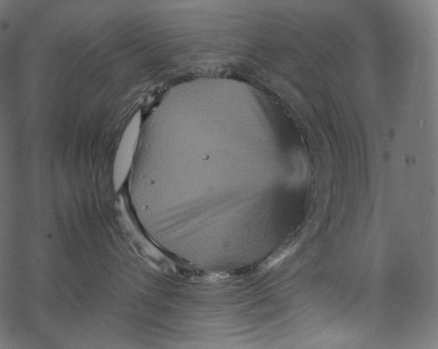 X0000067890432200605041557